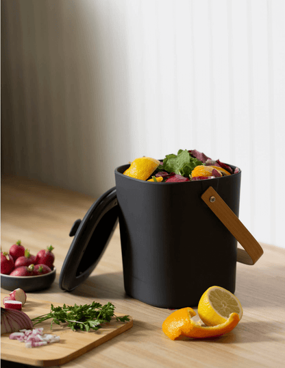 Countertop Composter (3 colors)