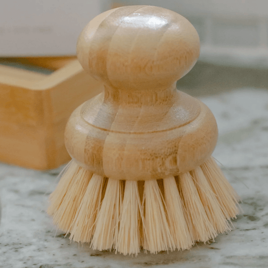 Casa Agave® Dish Washing Brush