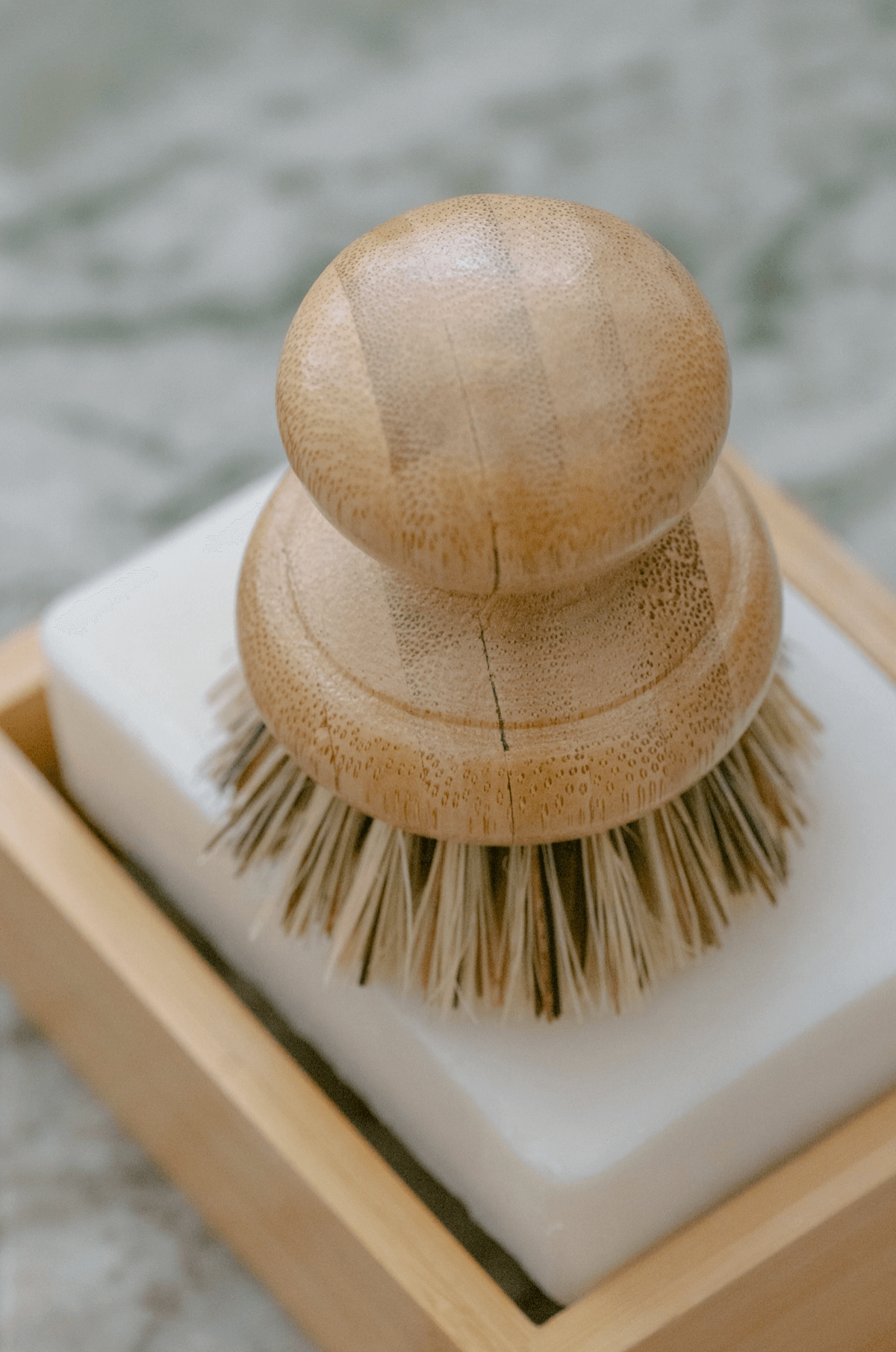 Casa Agave® Pot Scrubber Brush