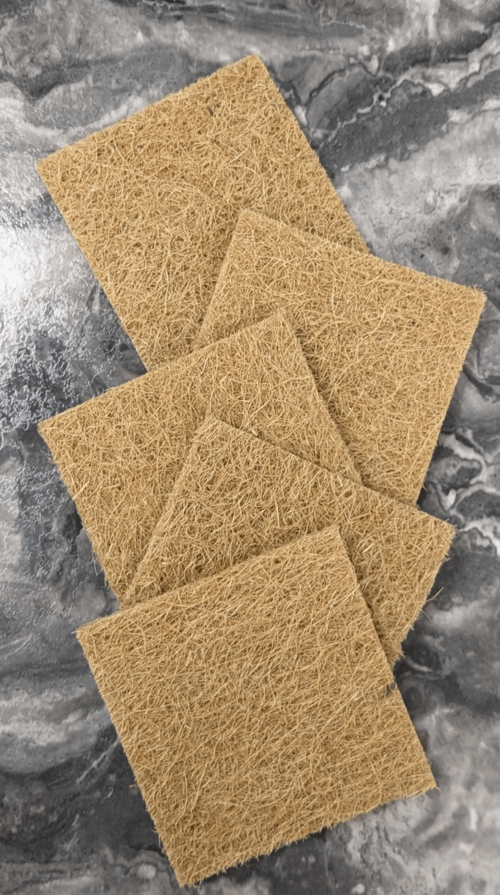 Compostable Filters 6-Pack