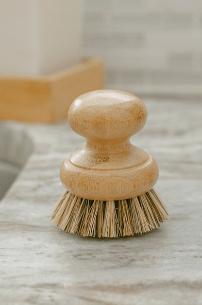 Casa Agave® Pot Scrubber Brush