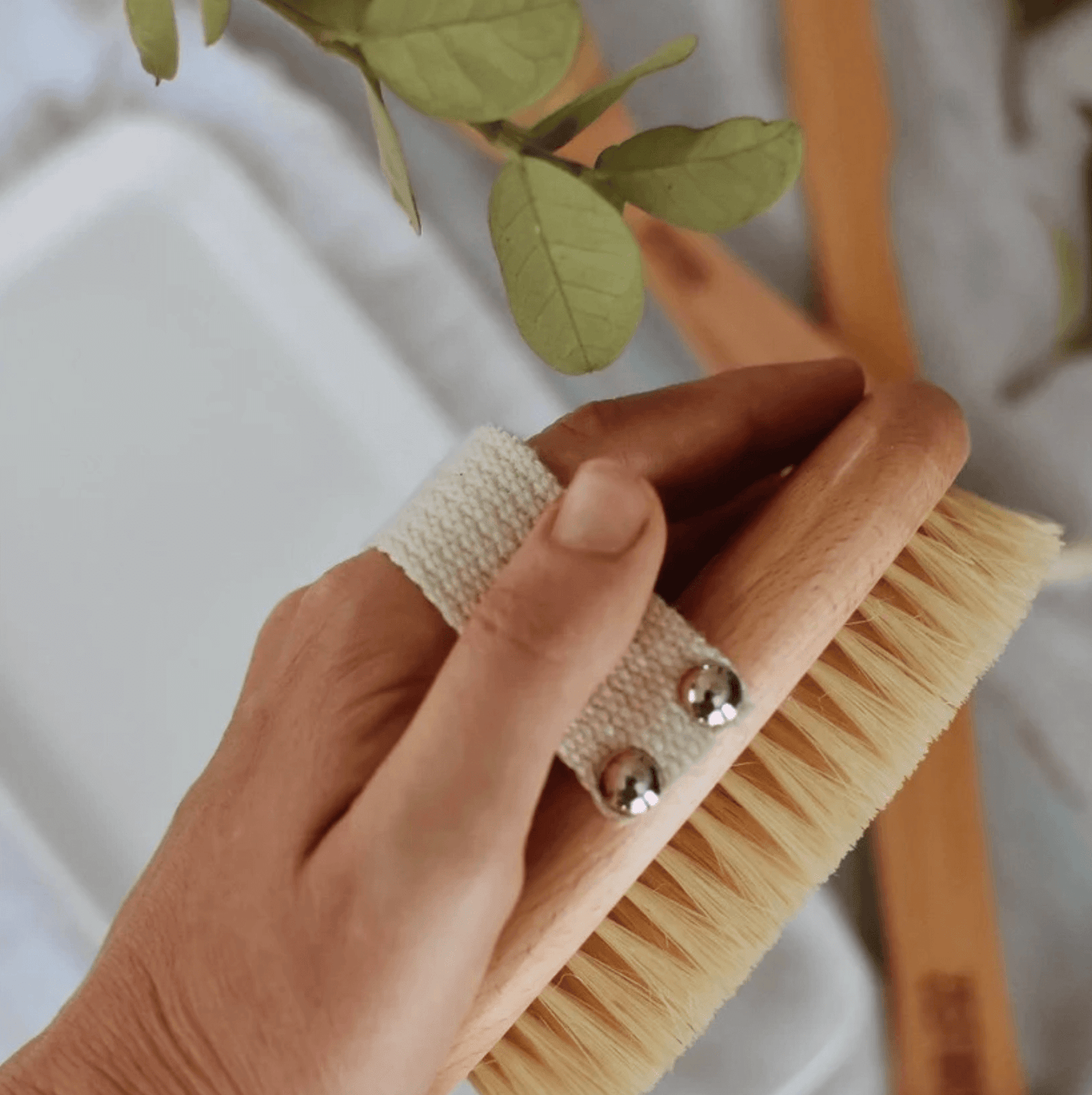 Vegan Dry Brush