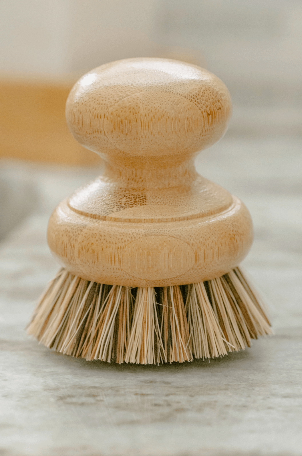 Casa Agave® Pot Scrubber Brush