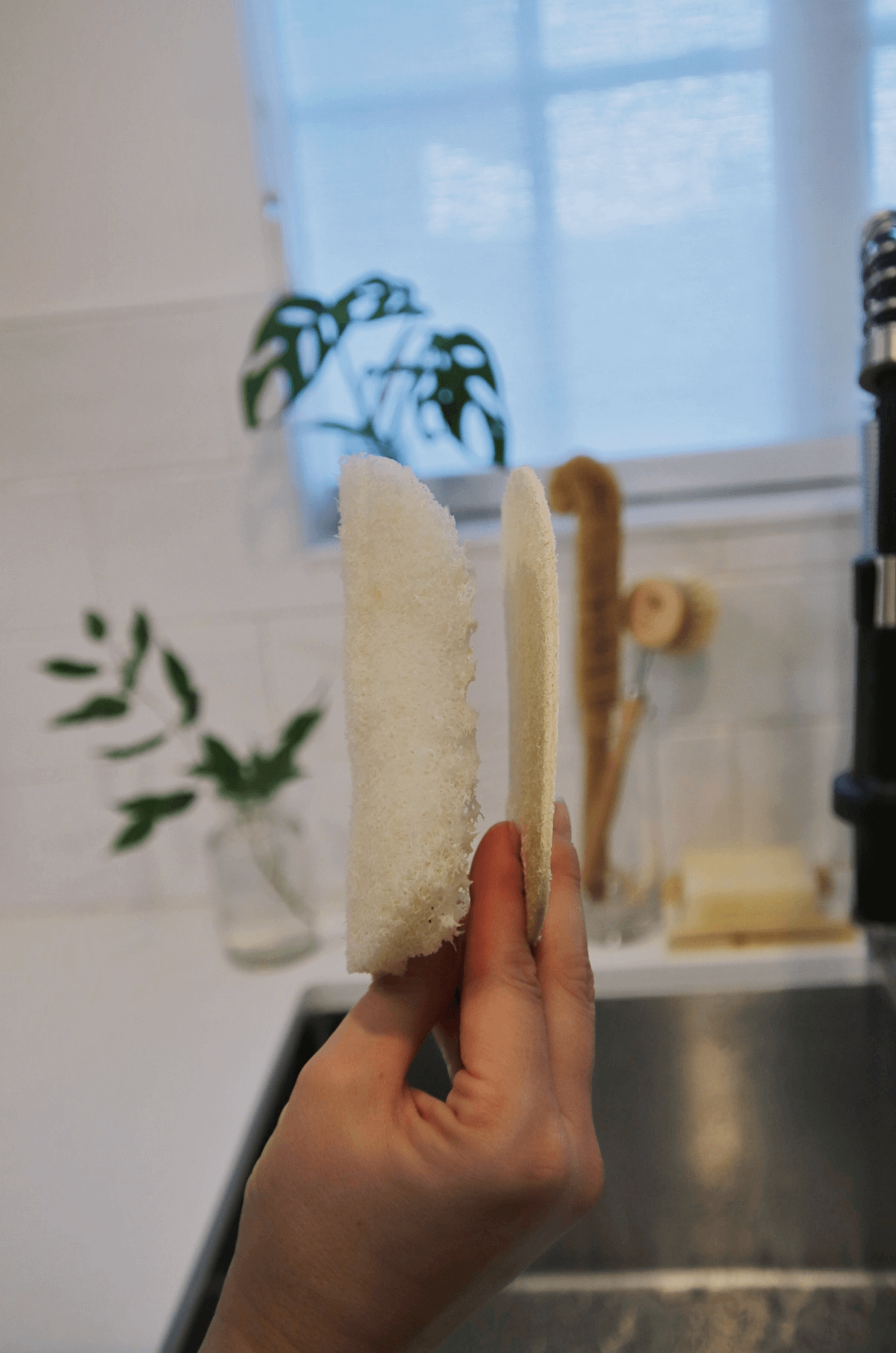 Loofah Dish Sponge: Single Layer 3-Pack